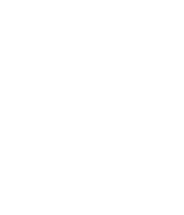 A.M Consult